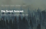 The forest forecast
