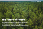 The future of forests