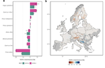 Loss of competitive strength in European conifer species under climate change
