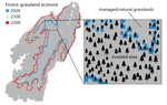 Future expansion of upper forest-grassland ecotone under land-use and climate change in the Eastern Alps