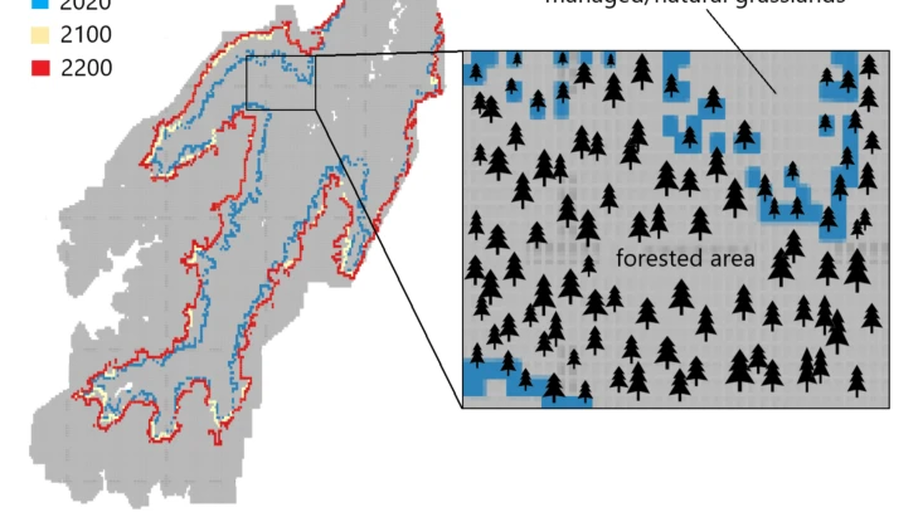 Future expansion of upper forest-grassland ecotone under land-use and climate change in the Eastern Alps
